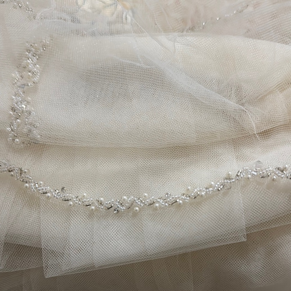 Elegant Cream Veil with Silver Embellishments
